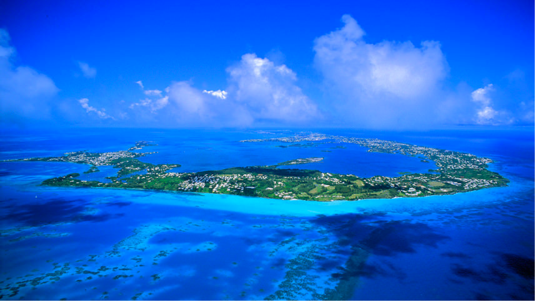 bermuda